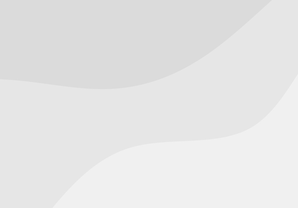 Expand Your Franchise in Europe with FMS Europe 11 noimage